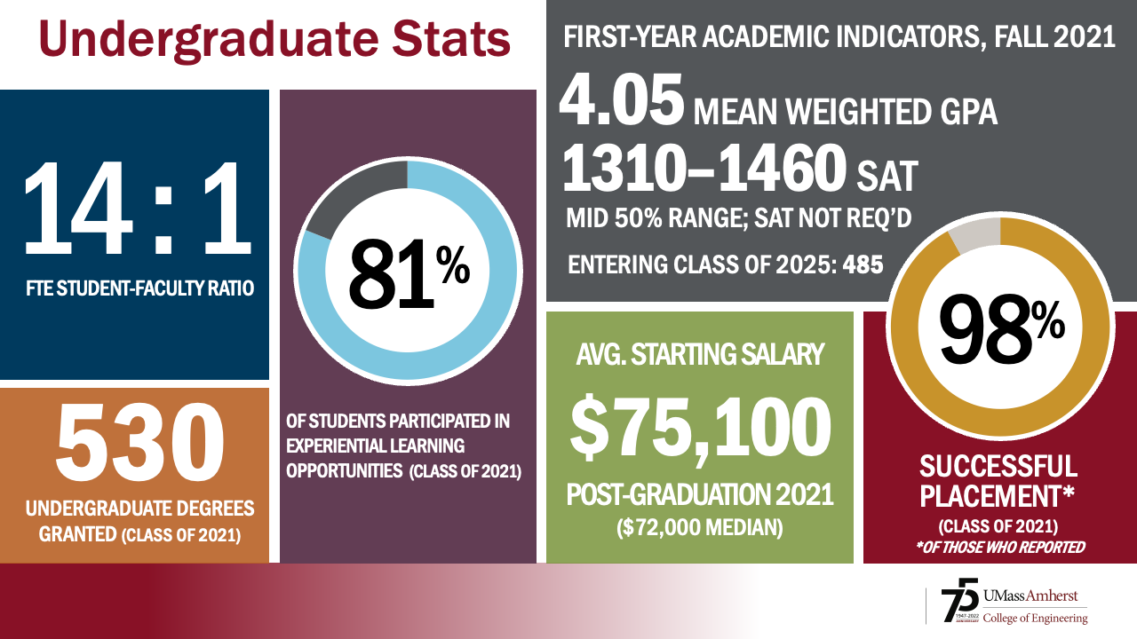 infographic presenting undergraduate stats